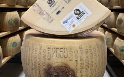 Parmigiano Reggiano Cravero